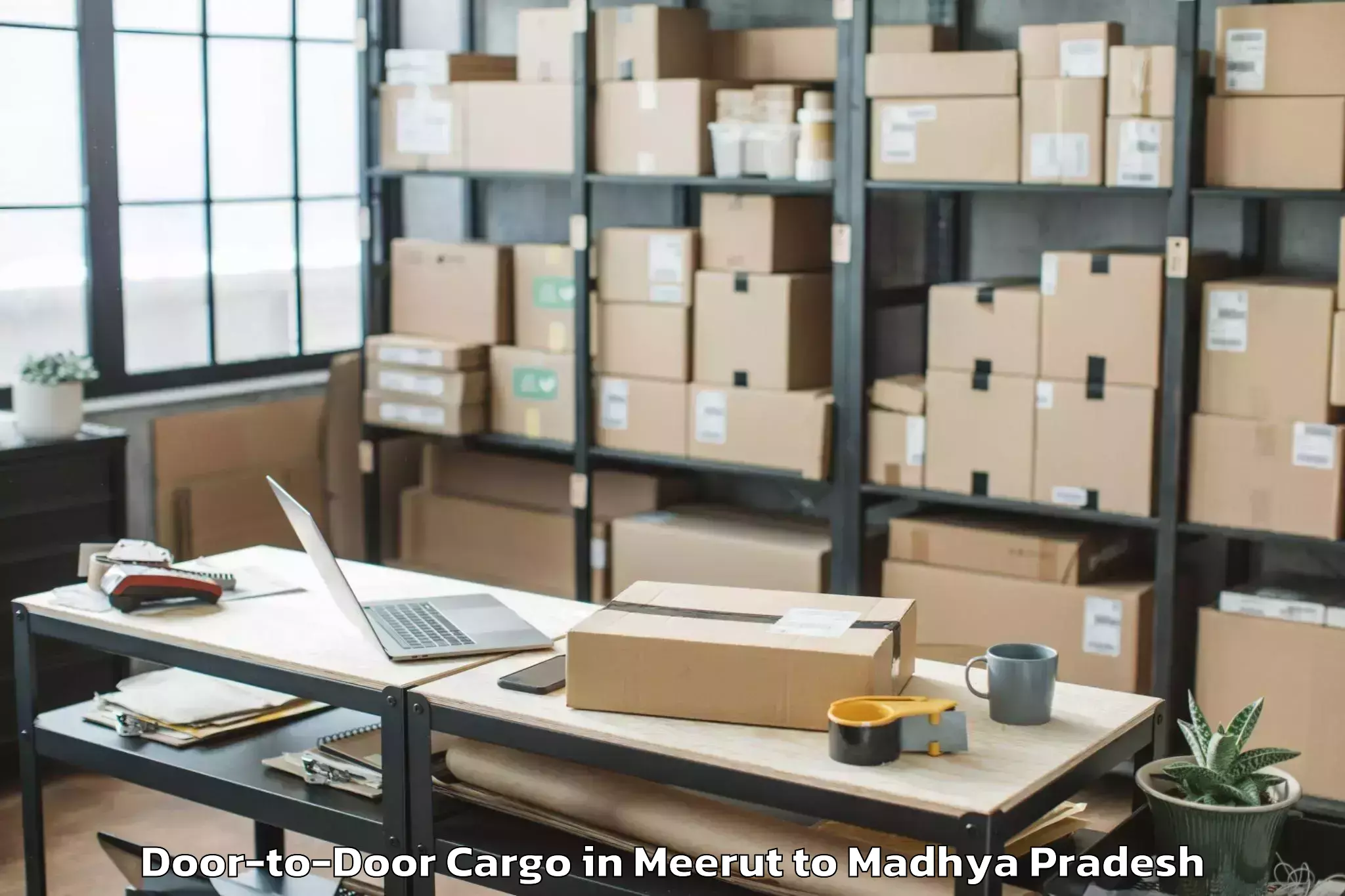 Easy Meerut to Petlawad Door To Door Cargo Booking